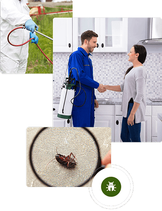 Urgent Extermination-2